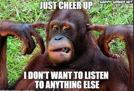 Sad Monkey Listening To Music Meme