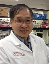 Scientists' silk structure is secret to process of regenerating salivary  cells