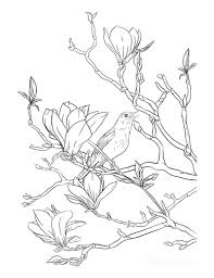 100% free flowers coloring pages. 65 Spring Coloring Pages Free Printable Pdfs