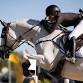 Traverse City Horse Shows
