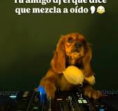 🎧🔥 ¡Cuando tienes el oído más fino que cualquier tecnología! 🔥🎶, Dicen  que los DJs necesitan cascos, pero algunos nacen con talento de otro nivel.  😎💿 ¿Quién más se atreve a pinchar así?, 💬 ¿Te ...