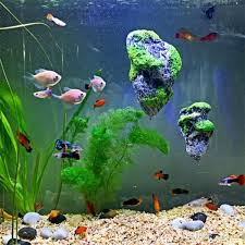 I even record animal planet's tanked (which i highly recommend). Floating Avatar Islands For The Aquarium