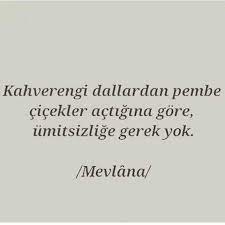pinar goz adli kullanicinin hayata dair about life panosundaki pin ilham verici sozler ilham verici alintilar ilham veren sozler