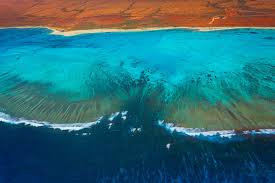 Australia's favourite chip is coming back. Western Australia So Lebendig Ist Das Vergessene Riff Australiens Geo