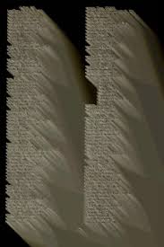 Image result for Trichopteryx elegantula