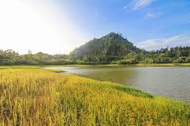 Tee one up in colorado: Berkenalan Dengan Gunung Colo Yang Unik Di Teluk Tomini Destinasi Travel Indonesia