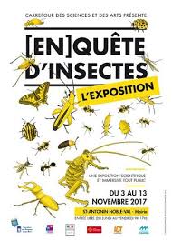 Le maire de la ville est monsieur gérard agam (ldvg). En Quete D Insectes L Exposition A Saint Antonin Noble Val Echosciences Sud