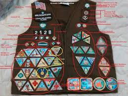 Brownie Try It Placements Girl Scout Brownie Badges Girl