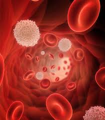 Image result for Hematologic Cancer