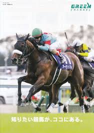 フェイト・t・ハラオウン モデル 腕時計 魔法少女リリカルなのは detonation. ç«¶é¦¬ã‚°ãƒƒã‚º ã‚¢ãƒ¼ãƒ¢ãƒ³ãƒ‰ã‚¢ã‚¤ã®ãƒãƒ©ã‚· ã‚°ãƒªãƒ¼ãƒ³ãƒãƒ£ãƒ³ãƒãƒ« ç™½ã„ç¨²å¦» å¤šæ'©ã®é»'é…¢ ã»ã¼ç«¶é¦¬ãªãƒ–ãƒ­ã‚° Since 2006 æ¥½å¤©ãƒ–ãƒ­ã‚°