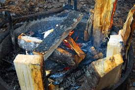 Free, clean wood for burning, firewood, bonfire. More Of Maine S Best Campgrounds Campsite Photos