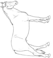 This picture makes me inspired to draw. Kids N Fun Com 30 Coloring Pages Of Horse Breeds