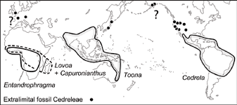 Image result for Lovoa