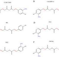 Study of the Effects of Novel Analogs of Calebin-A on ...