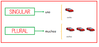 Resultado de imagen de singular y plural primaria