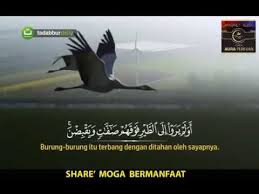 Hussein surah an naba.mp3 download. Bacaan Al Quran Juz 29 Youtube Bacaan Al Quran Quran Youtube