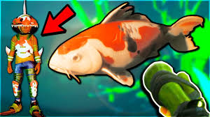 Download and use 10,000+ fishing stock photos for free. Fighting The Secret Koi Fish Koi Fish Armor Harpoon Gun In Grounded Youtube