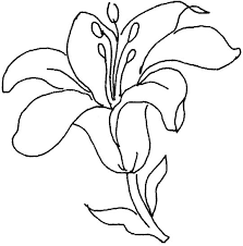 Dibujos Para Colorear Flores Flores Faciles De Dibujar Dibujos De Flores Dibujos Flores Para Colorear