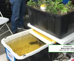 Throughout my professional career as a gardener i have tried many different tactics to try to make my job a bit easier easy step by step how to build aquaponic system here's what you'll learn with easy step by step how to build aquaponic system. 15 Diy Aquaponic Plans You Can Actually Build Trees Com