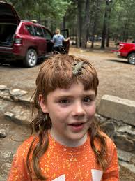 Someone got busy in our poolside pavilion 🤣