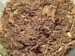 Glenara supplies bulk pine bark for landscaping playgrounds schools and farms. Pine Bark Fines For Gritty Mix 511