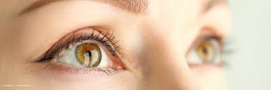 Thyroid Eye Disease Not Limited To Visual Impairment