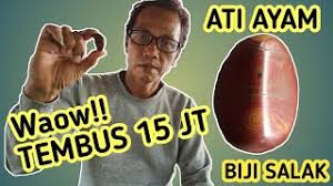 Check spelling or type a new query. Download Batu Akik Jamal Biji Salak Batu Akik Unik Madura Pamekasan In Mp4 And 3gp Codedwap