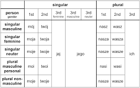 the no nonsense guide to polish possessive pronouns