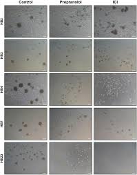 Image result for Corporate Grey 1980 ICI