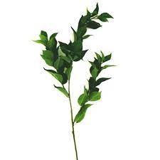 We did not find results for: Artificial Bay Leaves Fake Bay Leaf Spray Shelf Edge
