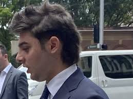 Matthew Valerio pleads guilty to severely injuring parking ranger in Enmore  crash