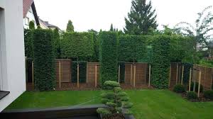 Pin By Kelly Griebel On Ogrod Modern Garden Landscaping Trees Outdoor Landscaping