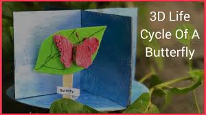 How To Make A 3d Model Of Life Cycle Of A Butterfly Butterfly Life Cycle Project Life Cycles Butterfly Project