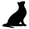 Check spelling or type a new query. Https Encrypted Tbn0 Gstatic Com Images Q Tbn And9gcqu5fbjmikfsuqz5usp1qwzy Dfqwwguwixwbrw9jcurnx4wzl2 Usqp Cau