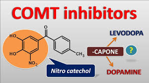 Image result for COMT Inhibitor