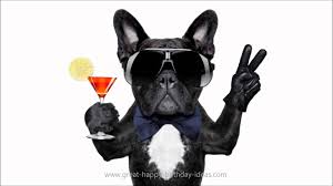 Image result for funny birthday