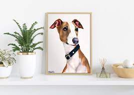 If you're interested in getting a portrait of your animals done, check out this post! Pet Portraits Australia Custom Pet Portraits By Ashley Bunting