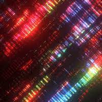 Discover & share this trippy gif with everyone you know. Background Neon Gifs Get The Best Gif On Giphy