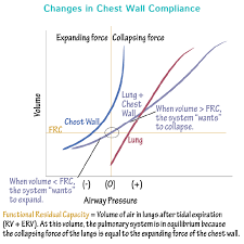 Image result for Functional Residual Capacity