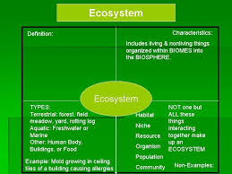It provides the organisms that live there with food, water, shelter and space to survive. Principles Of Ecology Bio C 2 Principles Of