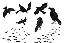 Black And White Ravens Clipart Halloween Ravens Clipart Ravens Halloween Illustrations Clipart Halloween Raven Halloween Illustration Halloween Clipart