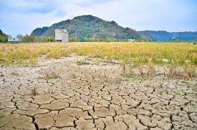 Climate change effect on malaysia there are some studies related to climate change impacts on malaysia. Winds Of Change In Malaysia The Government And The Climate Heinrich Boll Foundation Southeast Asia Regional Office