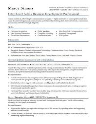 Sample Resume For An Entry Level Sales Professional Sales Resume Sales Resume Examples Job Resume Examples