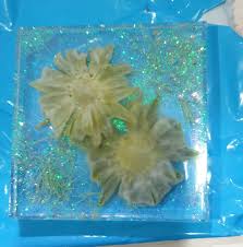 To prevent the resin from reacting with the flowers they need a protectiv sealing. Why I Fail To Make My Own Preserve Flowers For Resin Art I Used Silicon Gel And Book Press Method Please Advice Thank You Resincasting