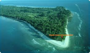 Image result for andaman neil island