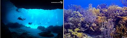 Duiken Curacao De Beste Duikscholen Op Curacao