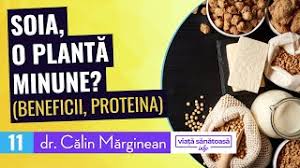 Soia este unul dintre cele mai controversate alimente, prin urmare şi laptele din acesta este la fel. Soia O PlantÄƒ Minune Dr Calin Marginean Soia Beneficii Proteina Din Soia Youtube