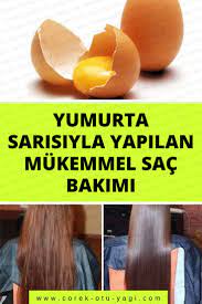 Yumurta Sarisiyla Yapilan Mukemmel Sac Bakimi Www Corek Otu Yagi Com Islam Fruit Mango