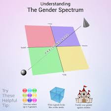 A Helpful Guide I Found For Understanding The Gender
