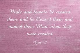 The bible is very clear on god's stance on homosexuality as demonstrated with his destruction of sodom and gommorah. Are People Born Transgender A Bible Study Jack Wellman